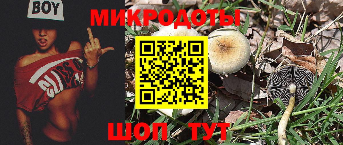 Псилоцибиновые грибы прущие грибы Усинск